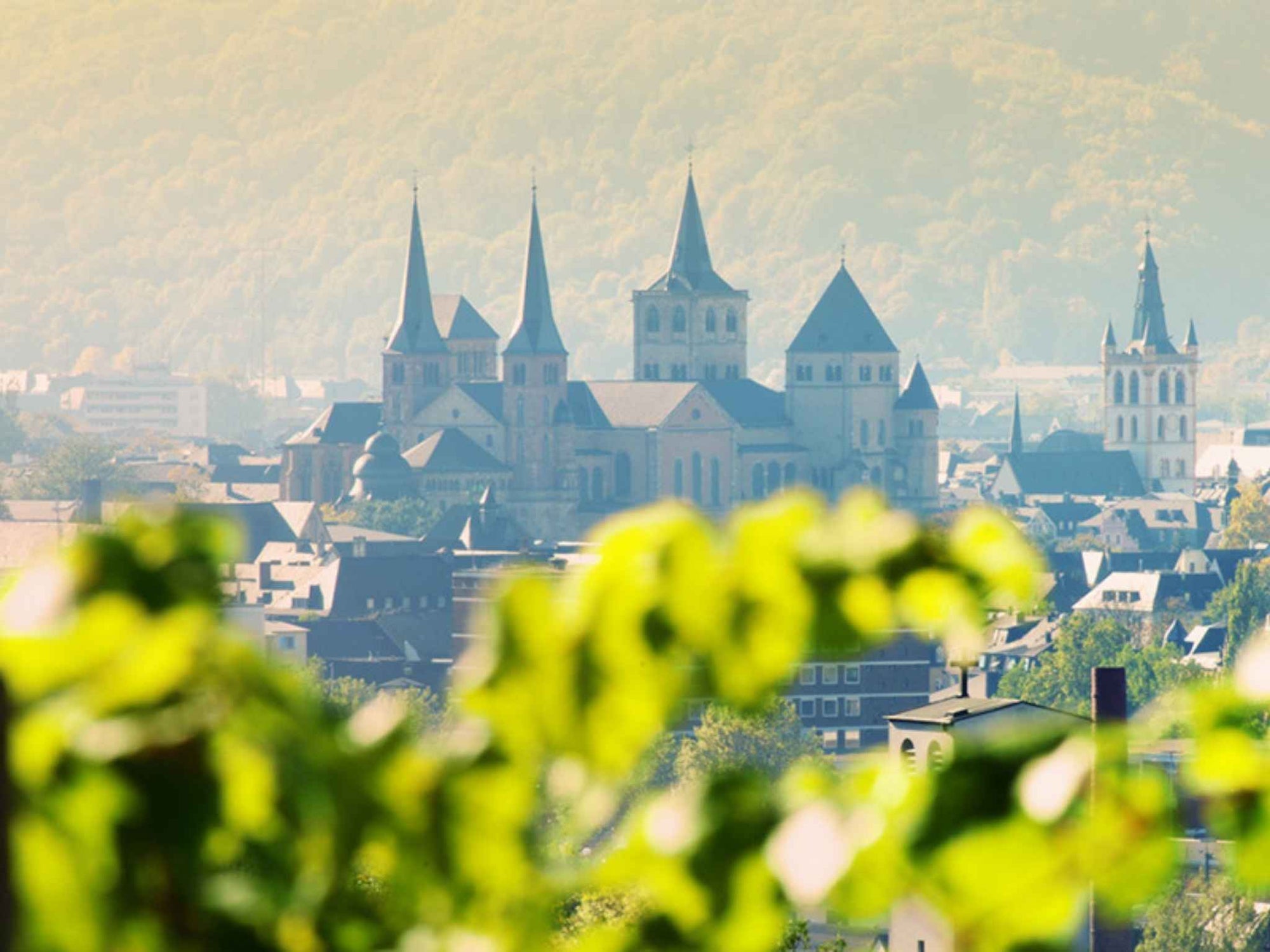 Blick über Trier mit dem Dom im Hintergrund und Weinreben im Vordergrund – Heimat der Bischöflichen Weingüter Trier