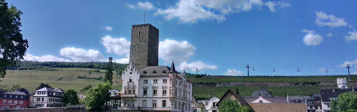Schloss von Carl Jung alkoholfrei