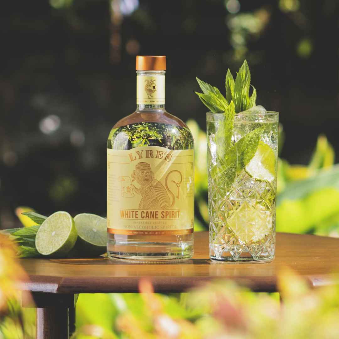 Alkoholfeie Spirituosen-Alternative White Cane von Lyre´s im Cocktailglas