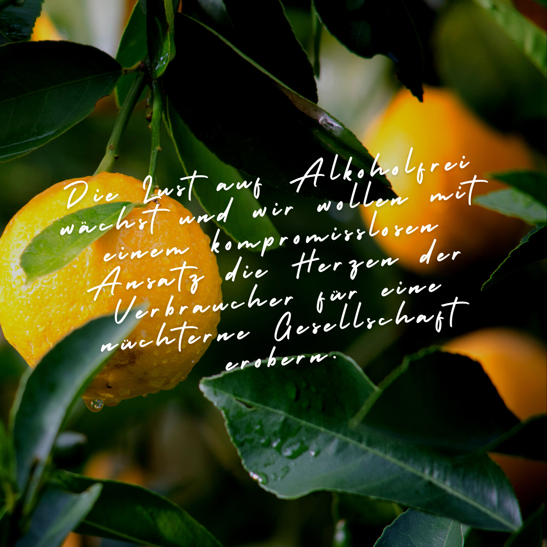 Infos rund ums Thema "alkoholfrei"