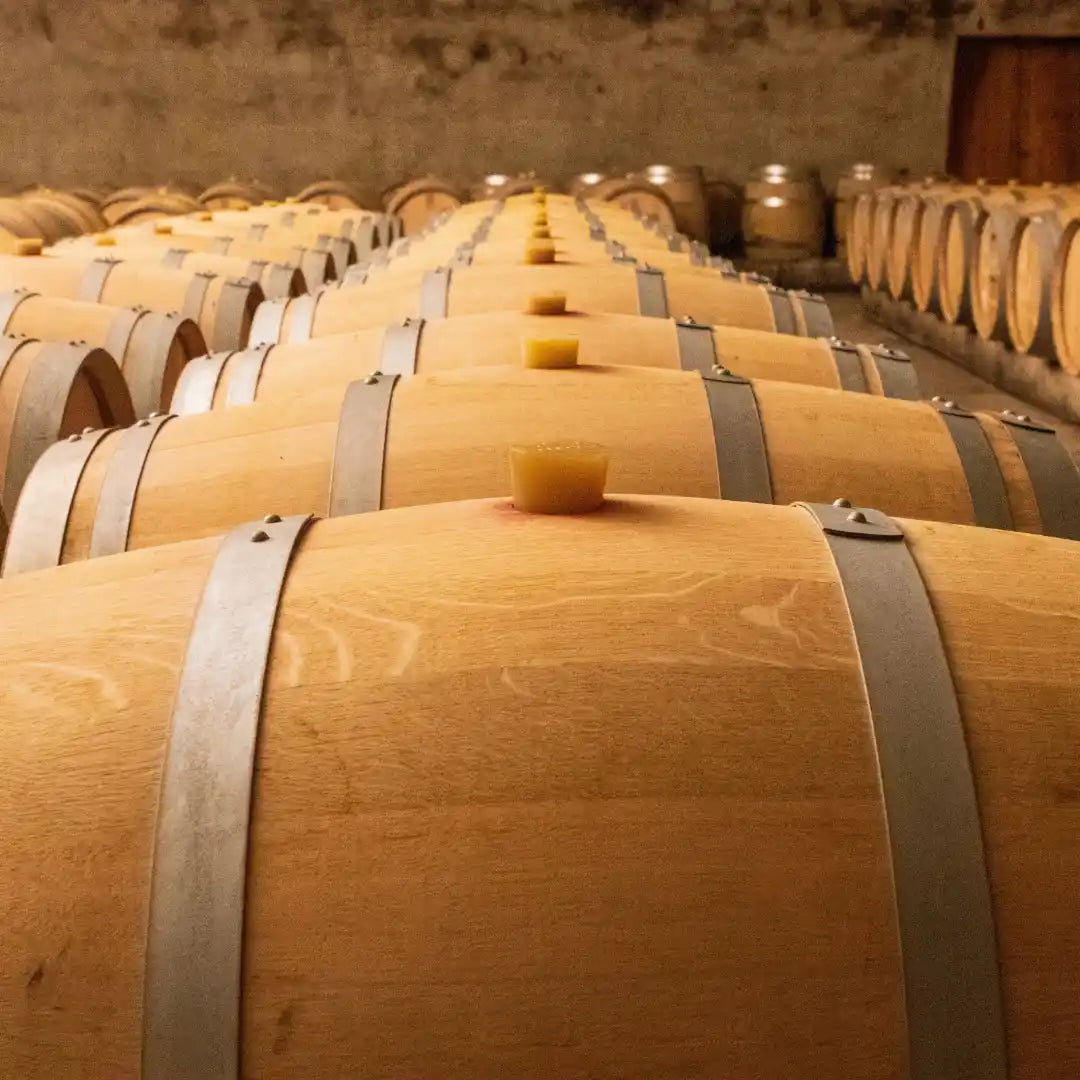 Herstellung von alkoholfreiem Wein - Fasslagerung und Entalkoholisierung