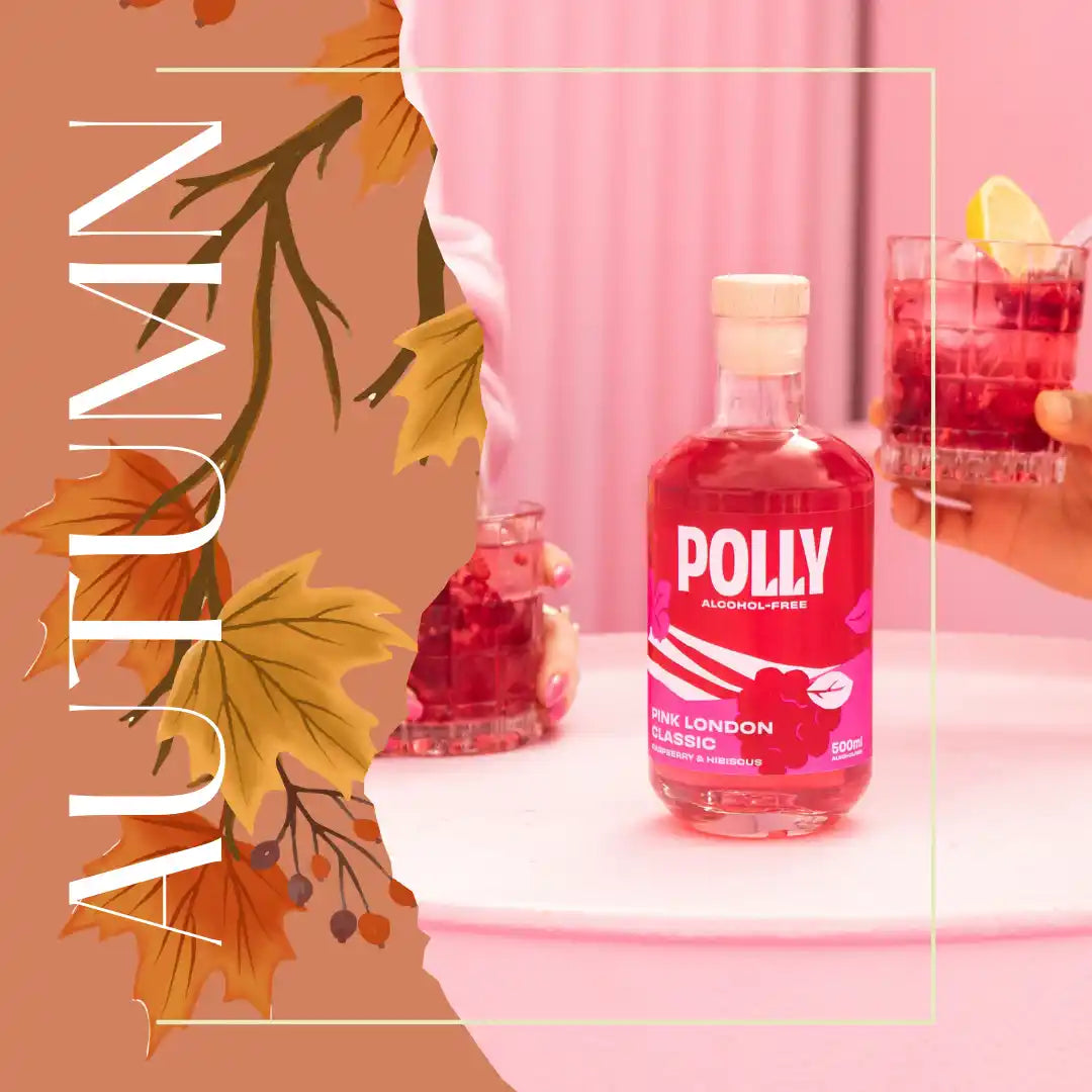 alkoholfreier Polly Gin im Sale
