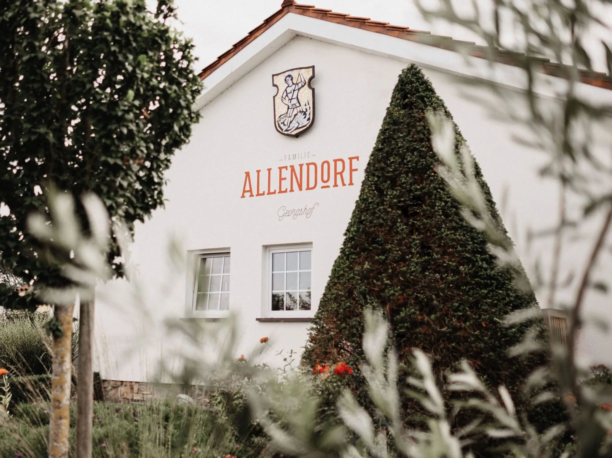 Weingut Allendorf Georgshof im Rheingau - traditionsreiches Familienweingut mit nachhaltigem Weinbau