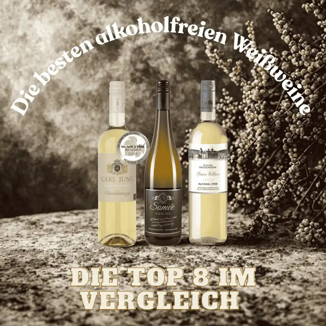Die besten alkoholfreien Weißweine 2026 im Vergleich – Top 8 mit Riesling, Sauvignon Blanc und 0,0 % Weißwein