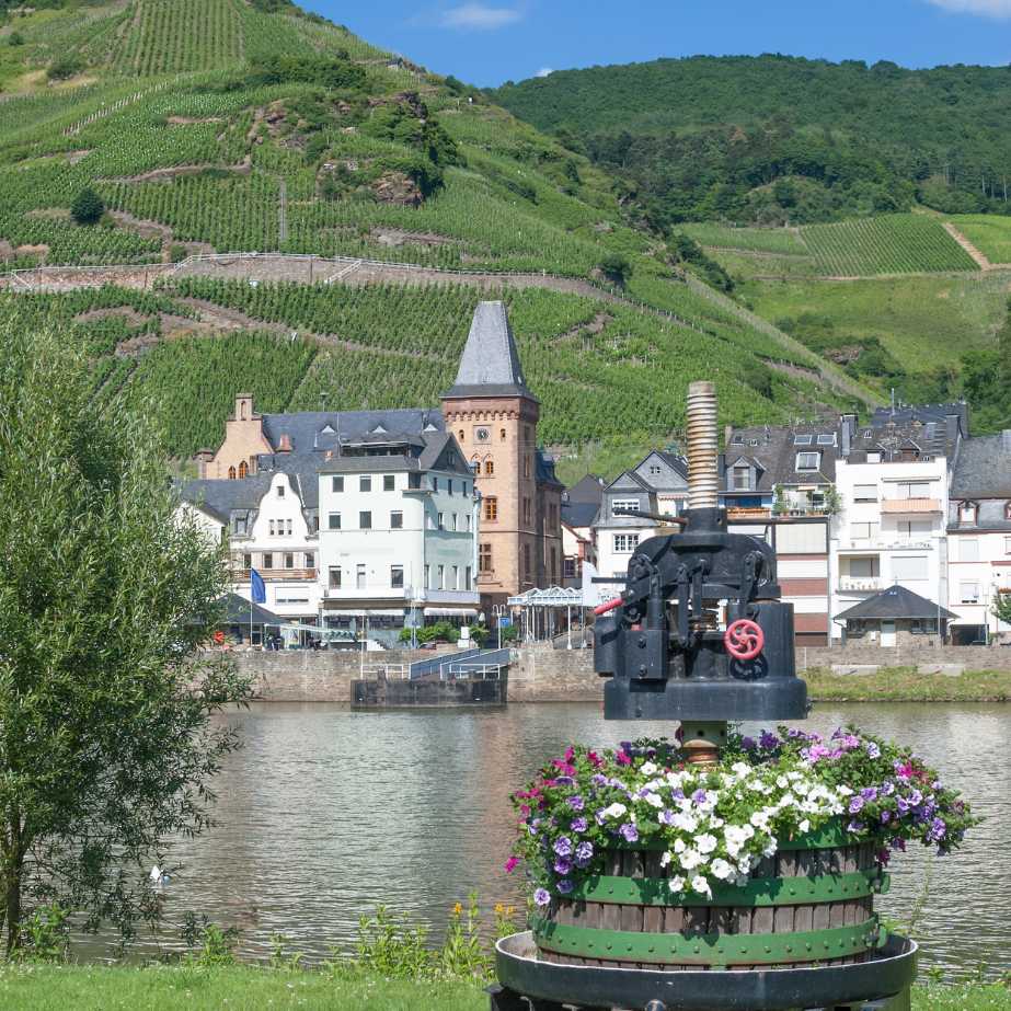 Wein- & Sektkellerei Josef Drathen Mosel und Weinberge