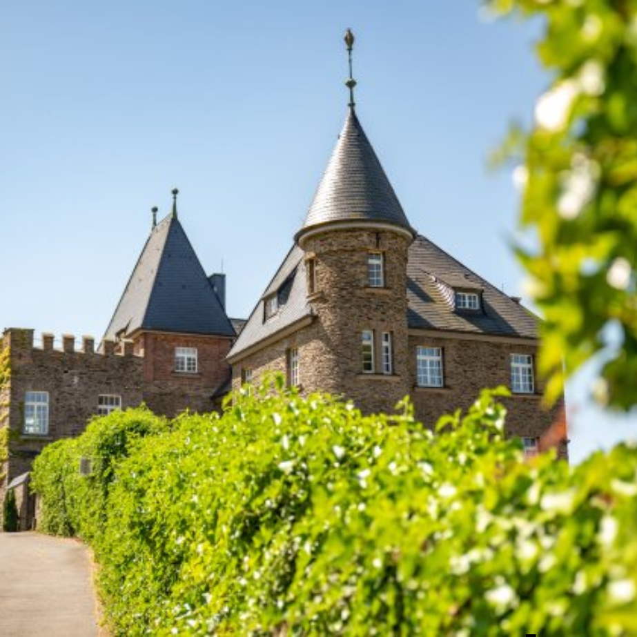 Weingut Reichsgraf von Kesselstatt – Schloss Marienlay im Sommer, historische Architektur mit Blick auf den Turm und Weinberg